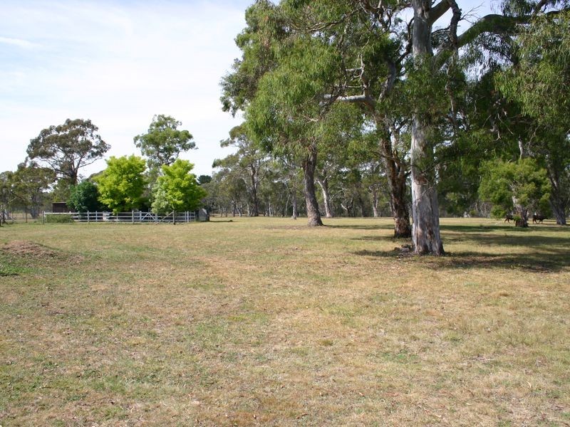 299 Medway Road, Medway NSW 2577