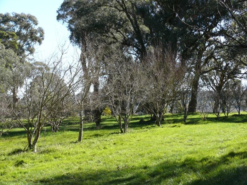 Lot 10 Mansfield Road, Bowral NSW 2576