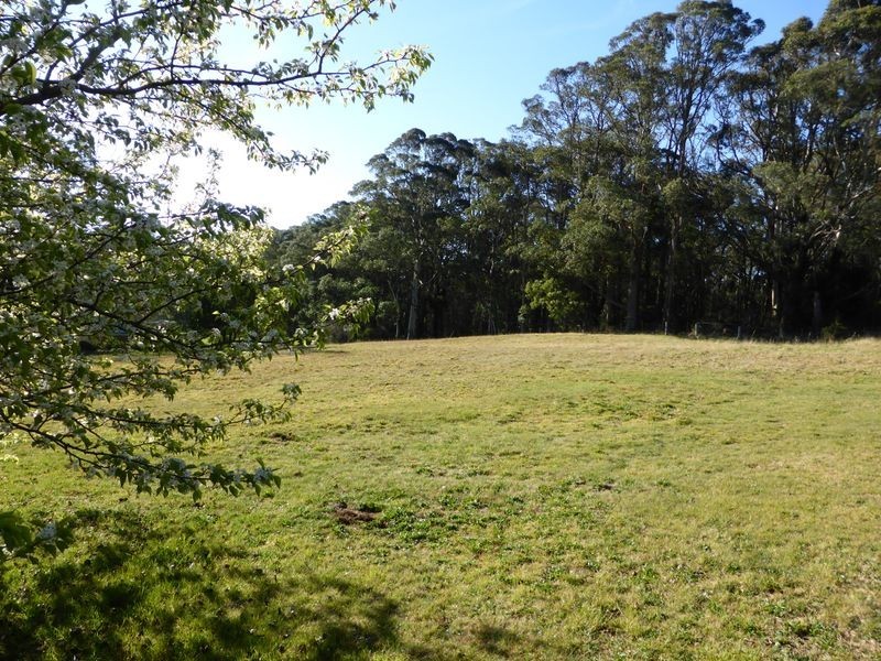 453 Wildes Meadow Road, Wildes Meadow NSW 2577