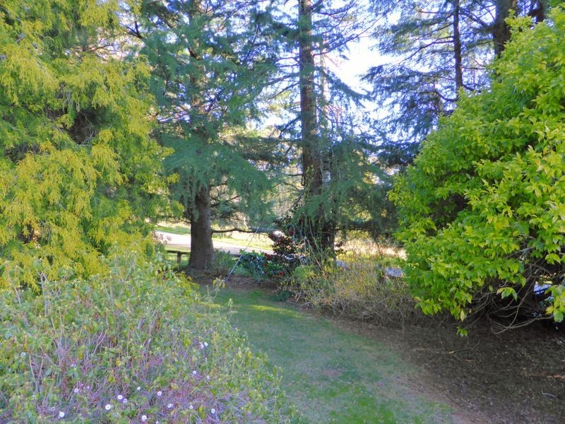 453 Wildes Meadow Road, Wildes Meadow NSW 2577