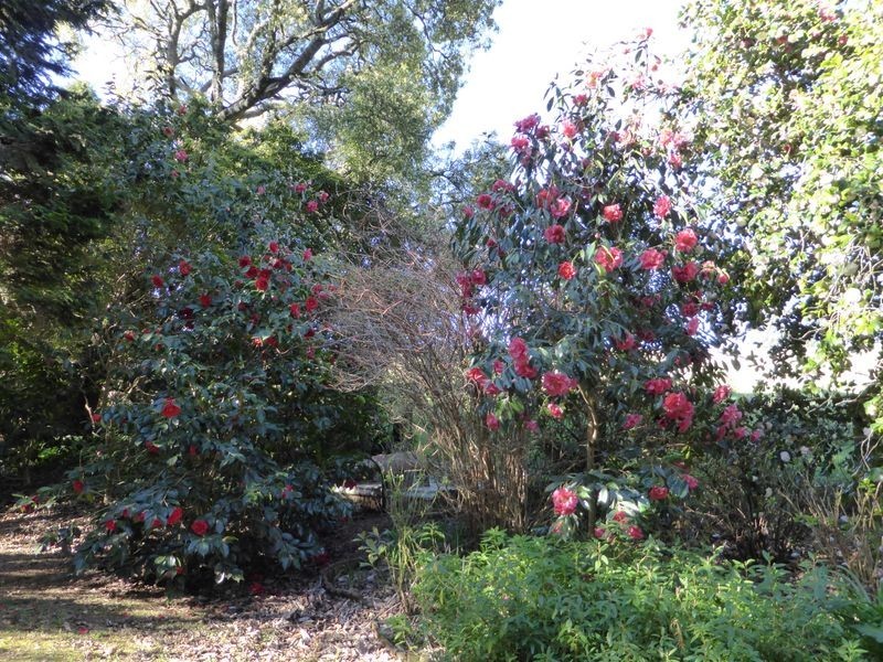 453 Wildes Meadow Road, Wildes Meadow NSW 2577