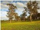 Lot 7 Edward Riley Drive, Bowral NSW 2576
