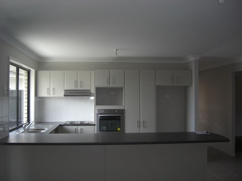 19 Cottonwood Crescent, Springfield Lakes QLD 4300