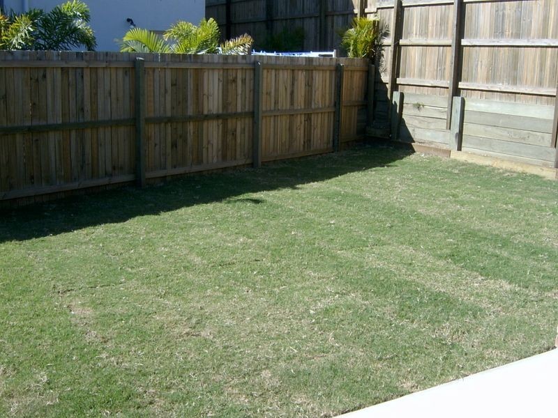 10 Wimbledon Street, Springfield Lakes QLD 4300