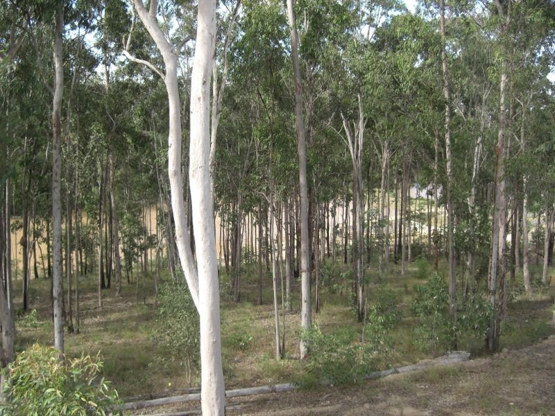 50 Lakes Entrance Drive, Springfield Lakes QLD 4300