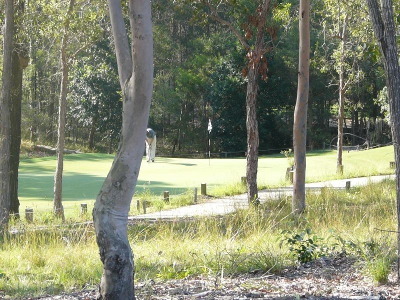 83 Birchwood Crescent, Brookwater QLD 4300