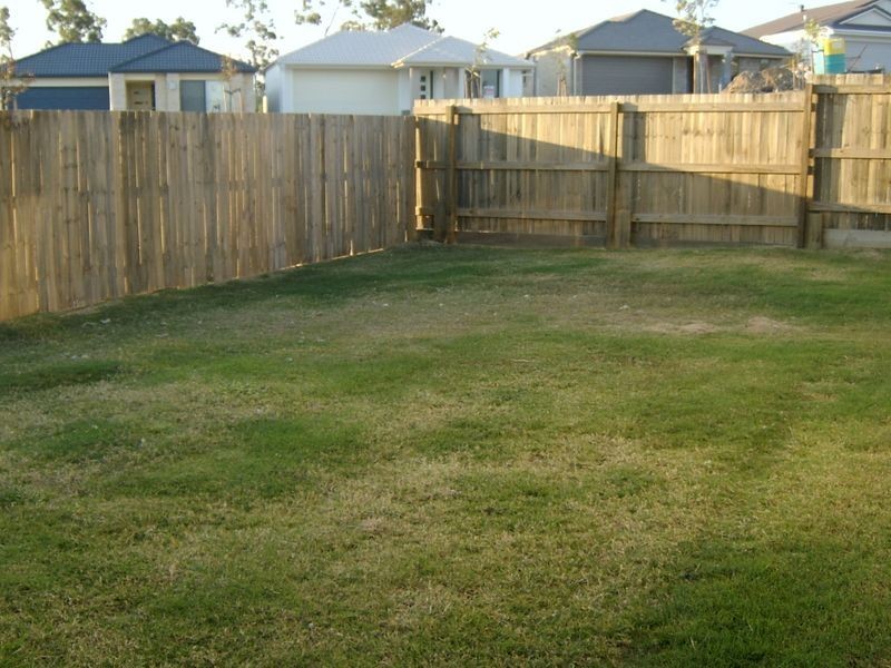 3 Rose Avenue, Springfield Lakes QLD 4300