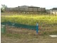 29/ Lot 11 Berkeley Circuit, Bellbird Park QLD 4300