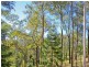 Camira QLD 4300