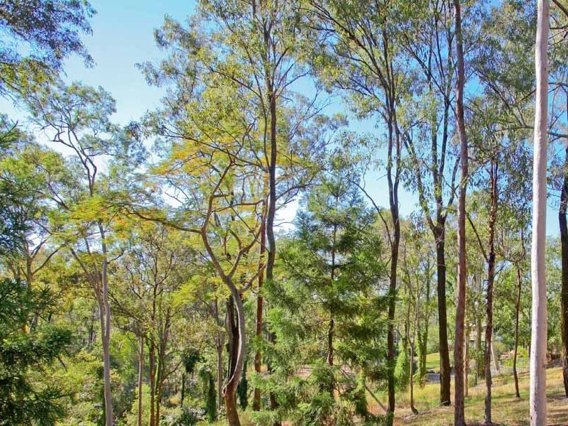 Camira QLD 4300
