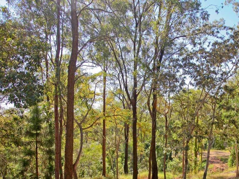 Camira QLD 4300