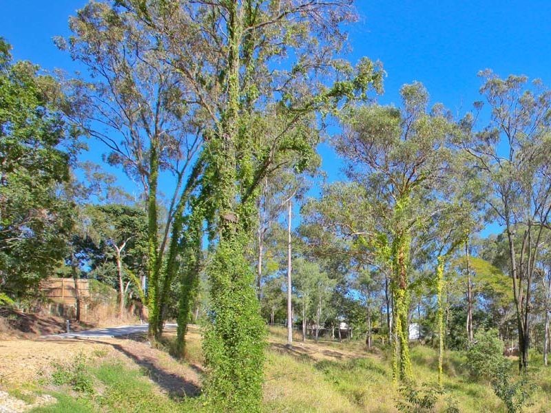 Camira QLD 4300