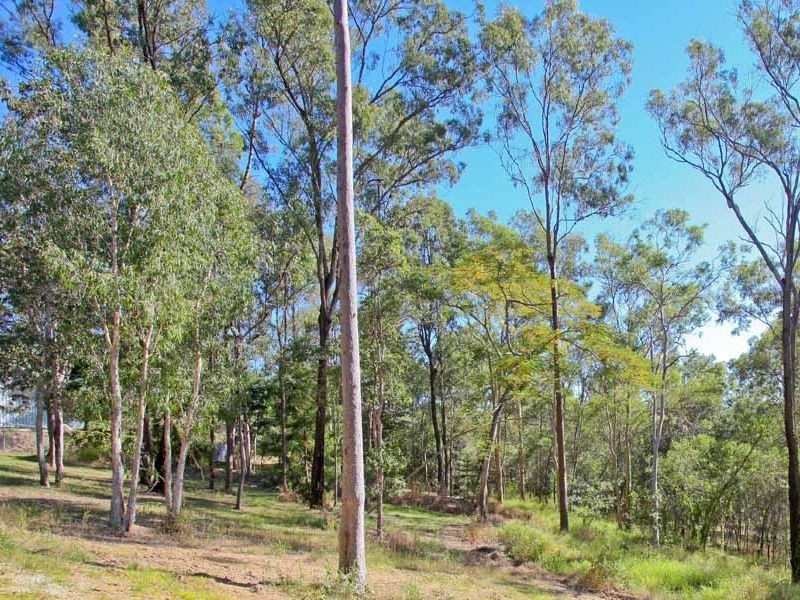 Camira QLD 4300