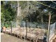119 Fiona Street, Bellbird Park QLD 4300