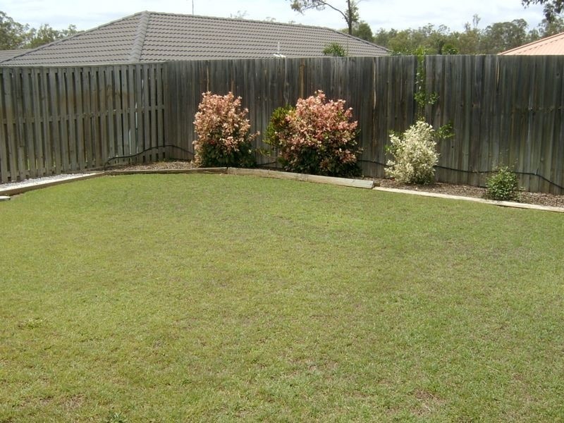 25 Ellen Circuit, Springfield Lakes QLD 4300