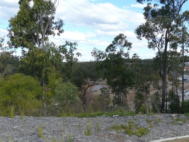 17 Aspect Terrace, Springfield Lakes QLD 4300