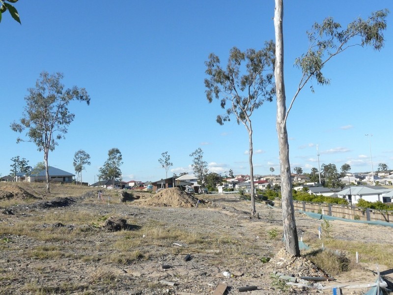 6 Everest Court, Springfield Lakes QLD 4300