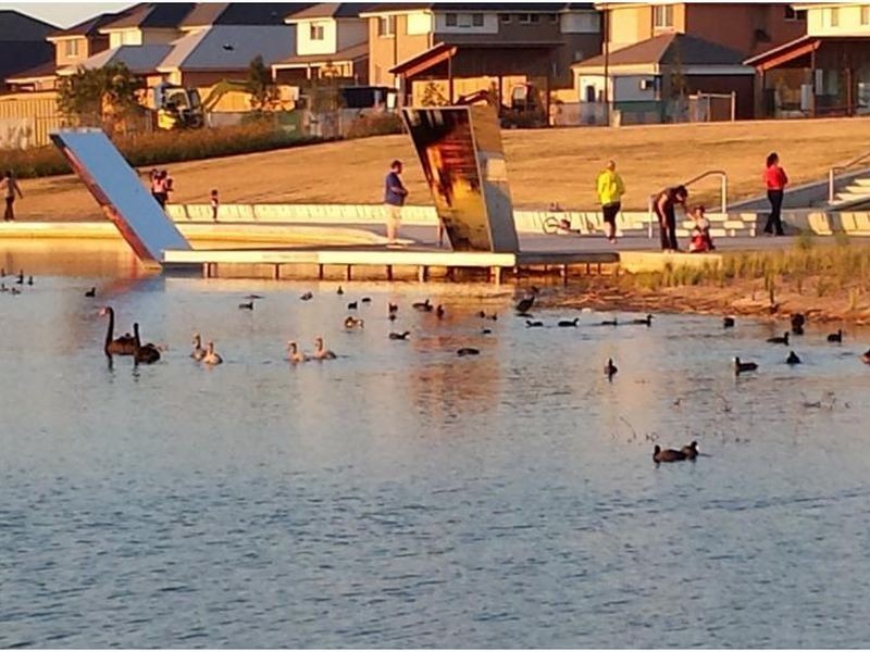 Lot 2701 Camomile Street, The Ponds NSW 2769