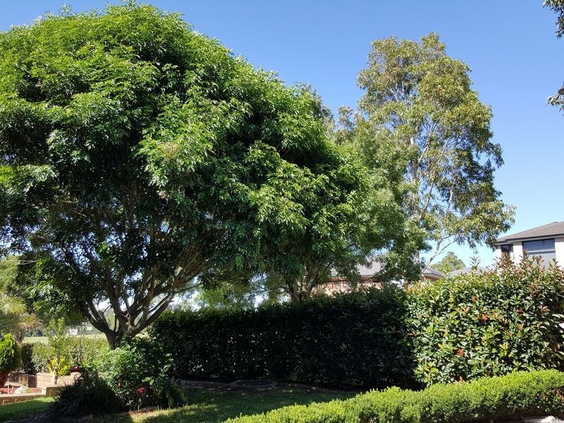 120 Perfection Ave, Stanhope Gardens NSW 2768