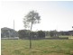 69 Mosaic Avenue, The Ponds NSW 2769