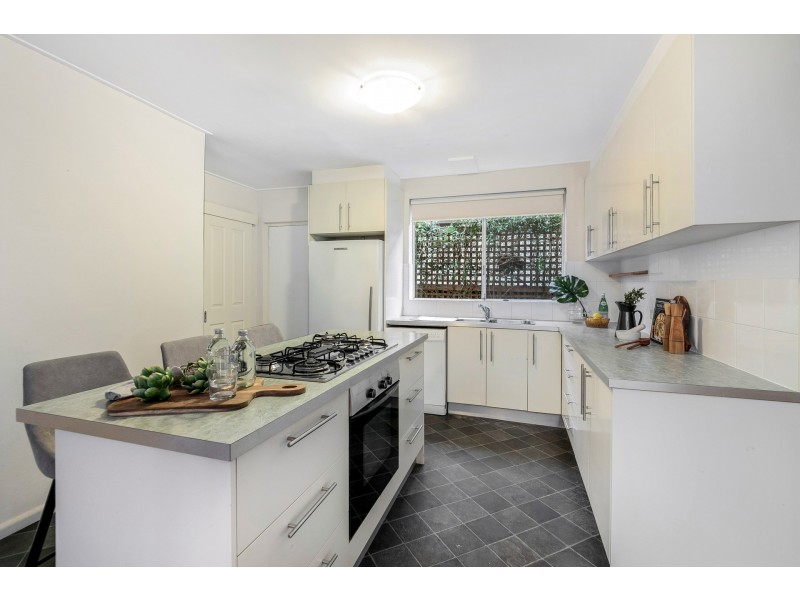 9 Cantor Street, Croydon NSW 2132