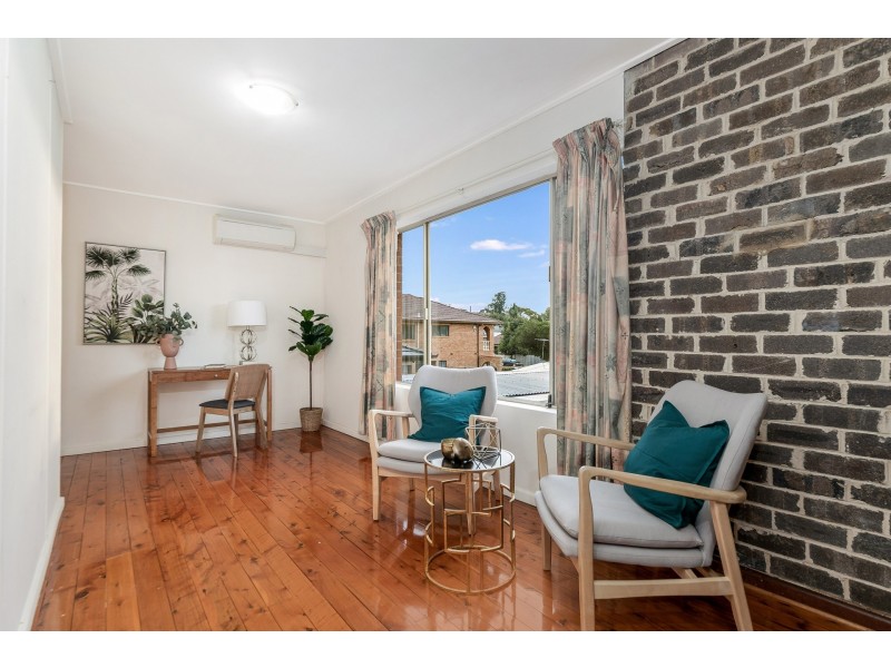 9 Cantor Street, Croydon NSW 2132