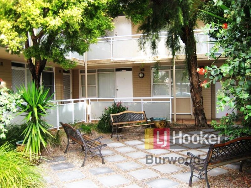 Concord NSW 2137