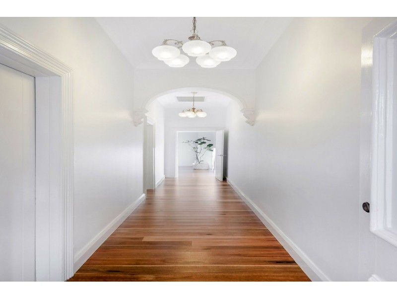 12 Angelo Street, Burwood NSW 2134