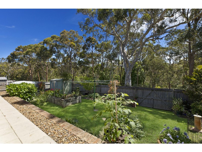 41 Northcote Street, Haberfield NSW 2045