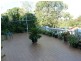 Hurlstone Park NSW 2193