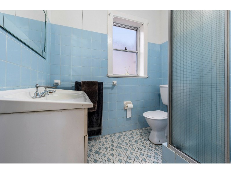 50 Holborow Street, Croydon NSW 2132