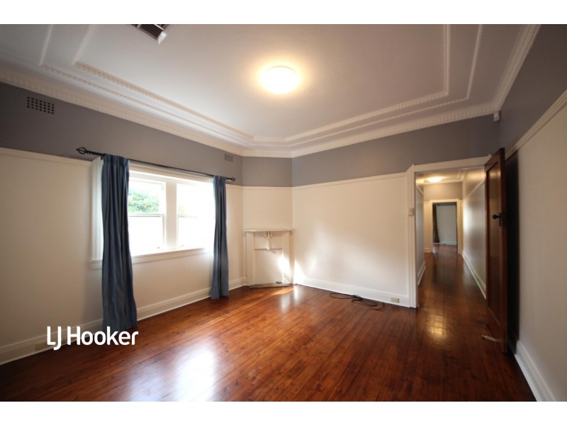 17 Macgregor Street, Croydon NSW 2132