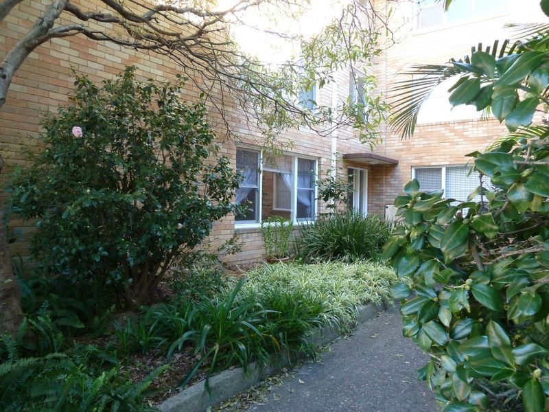 Dulwich Hill NSW 2203