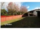 81 Dunstaffenage Street, Hurlstone Park NSW 2193