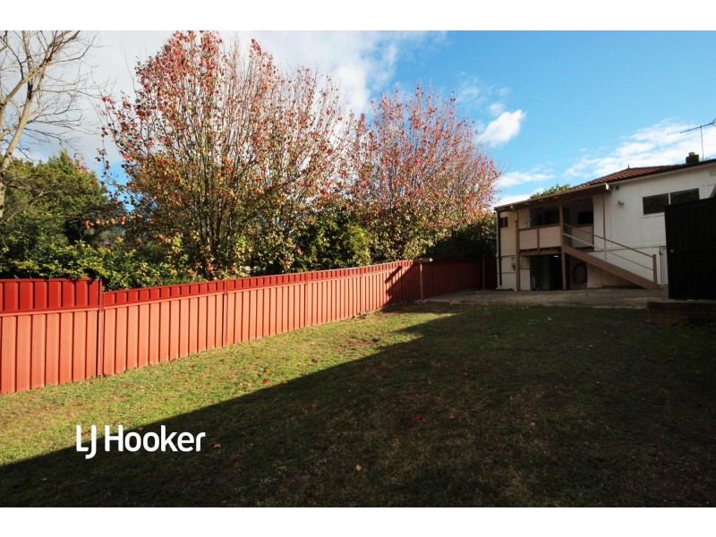 81 Dunstaffenage Street, Hurlstone Park NSW 2193