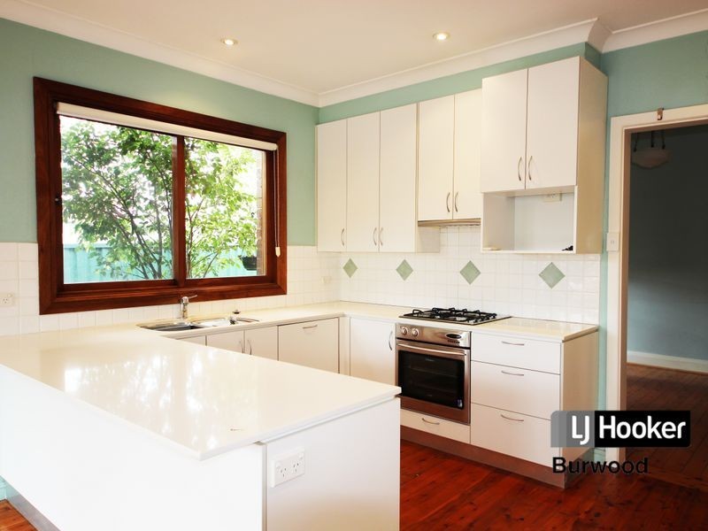 9 Royce Avenue, Croydon NSW 2132