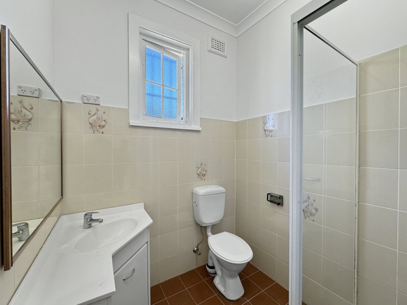 20 Lasswade Street, Ashbury NSW 2193