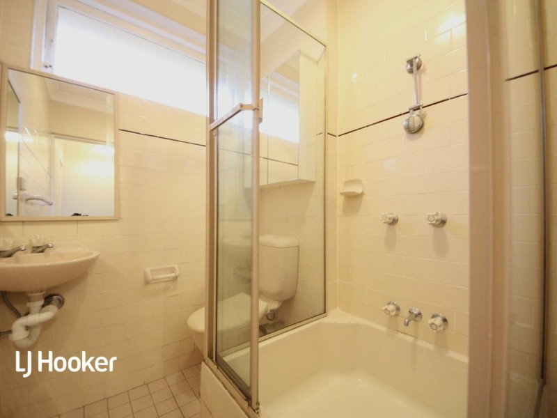 5/20 Etonville Parade, Croydon NSW 2132