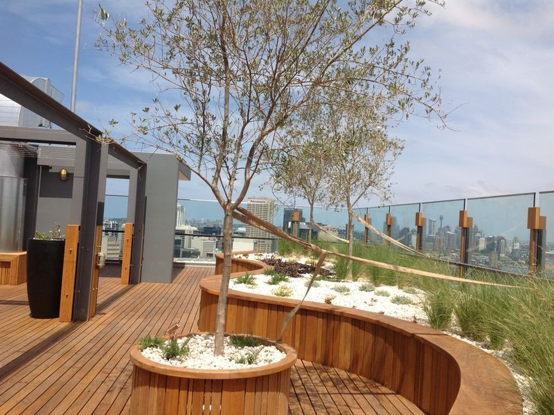 1605/200-220 Pacific Highway, Crows Nest NSW 2065