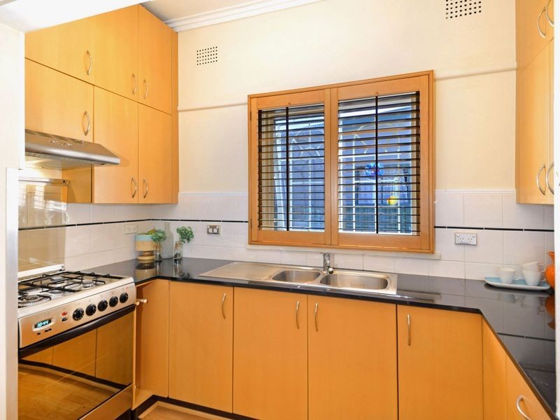 17 Royce Avenue, Croydon NSW 2132