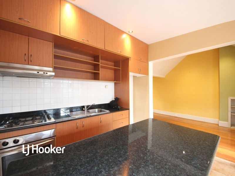 19 Lion Street, Croydon NSW 2132