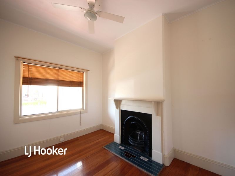 19 Lion Street, Croydon NSW 2132