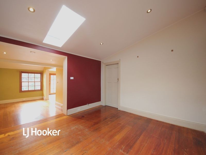19 Lion Street, Croydon NSW 2132