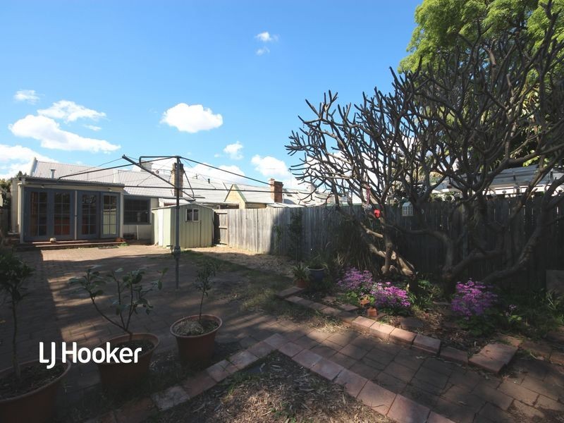 19 Lion Street, Croydon NSW 2132