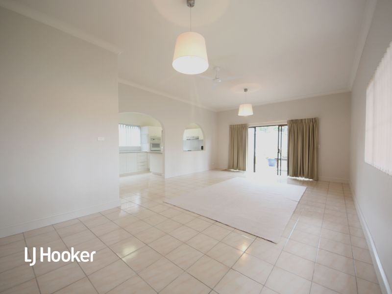 39 Holborow Street, Croydon NSW 2132