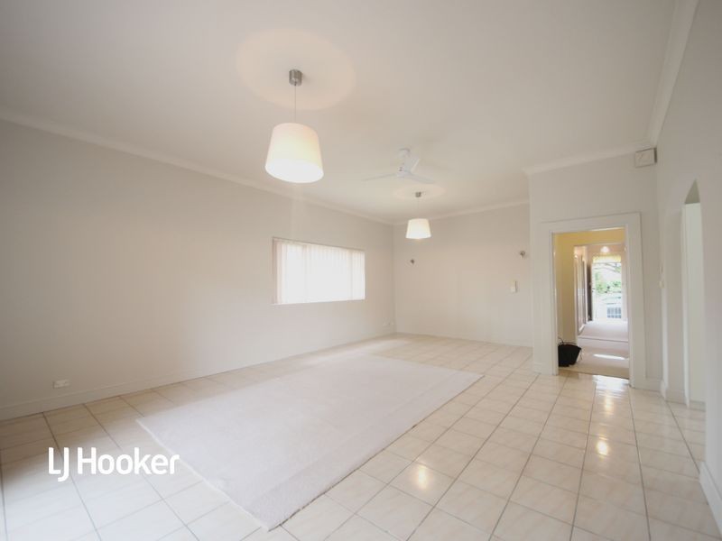 39 Holborow Street, Croydon NSW 2132