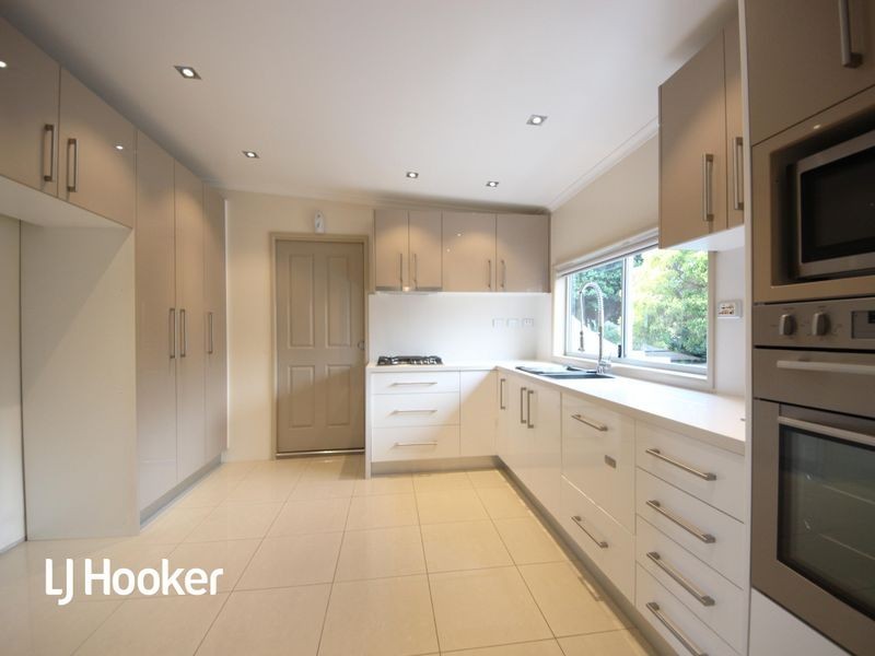 81 Dunstaffenage Street, Hurlstone Park NSW 2193