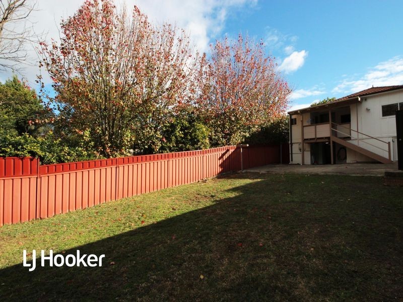 81 Dunstaffenage Street, Hurlstone Park NSW 2193