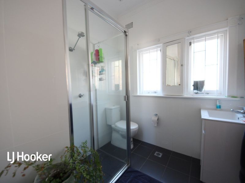 31 Lucy Street, Ashfield NSW 2131