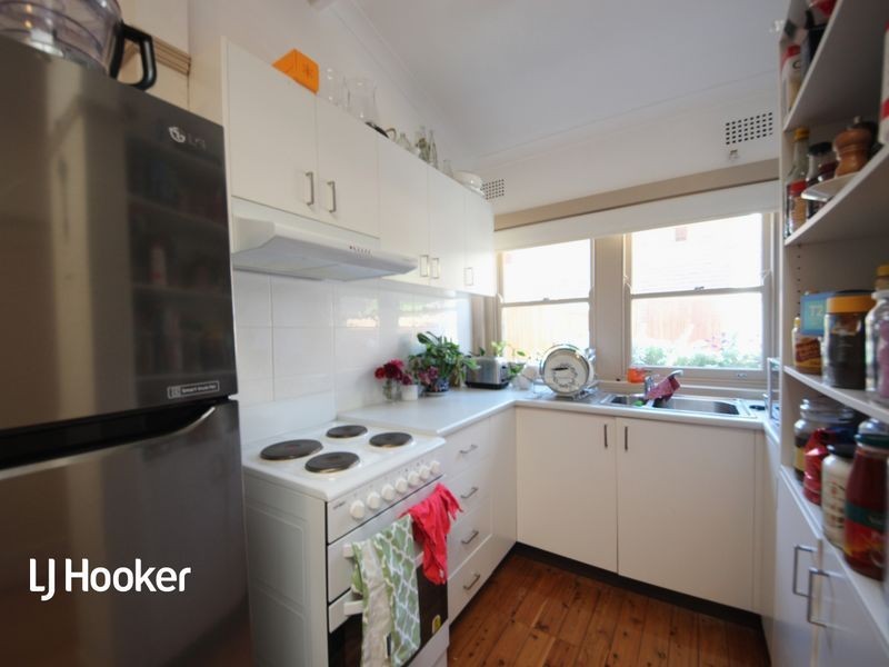 31 Lucy Street, Ashfield NSW 2131